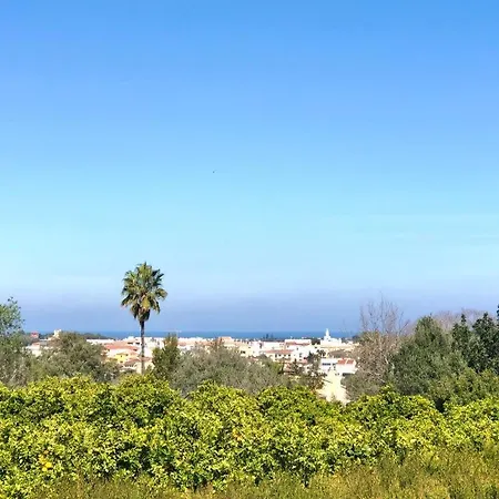 Con Piscina Y Barbacoa * Dénia